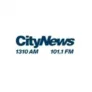 CityNews Ottawa 1310 AM / 101.7 FM