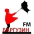 Радио России Туапсе 101.4 FM