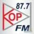 Радио Рекорд Петров Вал 101.2 FM