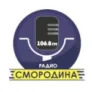 Радио Смородина Можга 91.2 FM