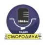 Радио Смородина Воткинск 97.6 FM