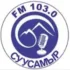 Авторадио Тольятти 96.0 FM